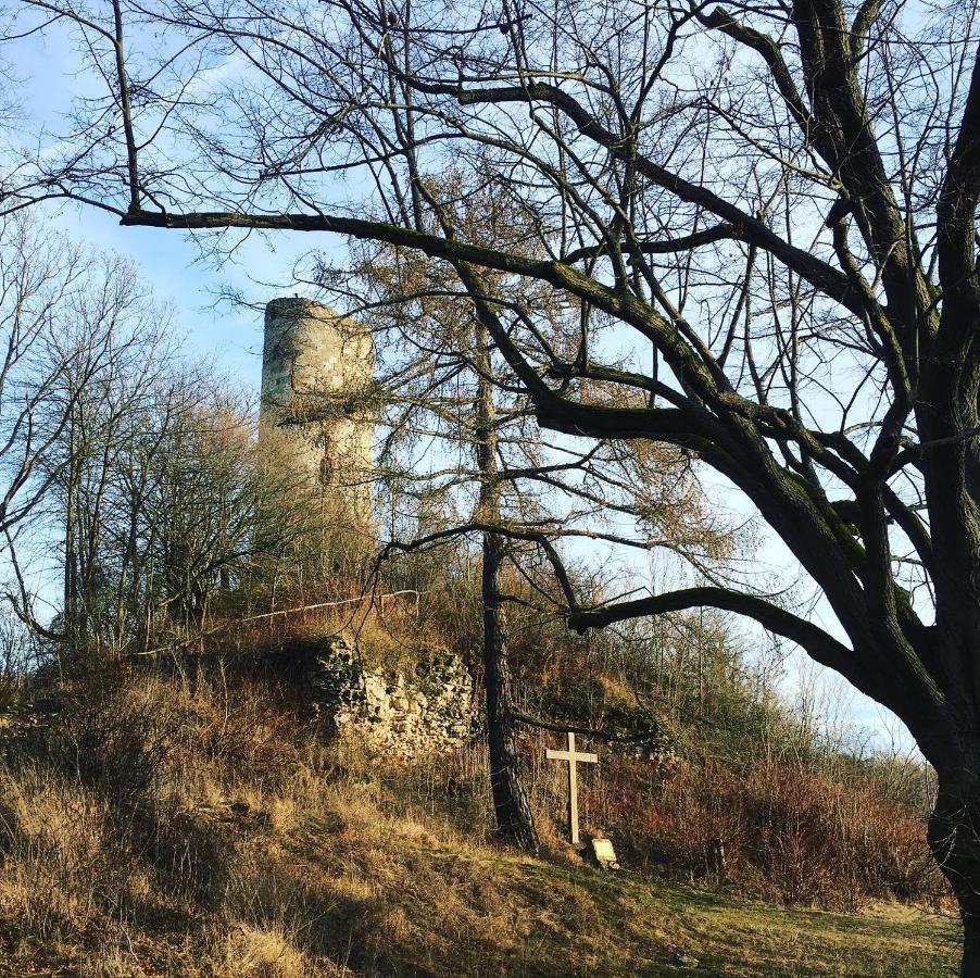 Ferienwohnungen Lausbuben & Zicken - Im Grunen Herzen Deutschlands Herleshausen Eksteriør bilde